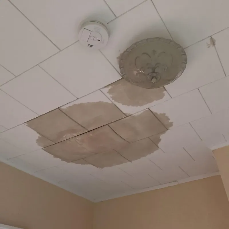 Ceiling Water Damage Repair in Gatlinburg, TN