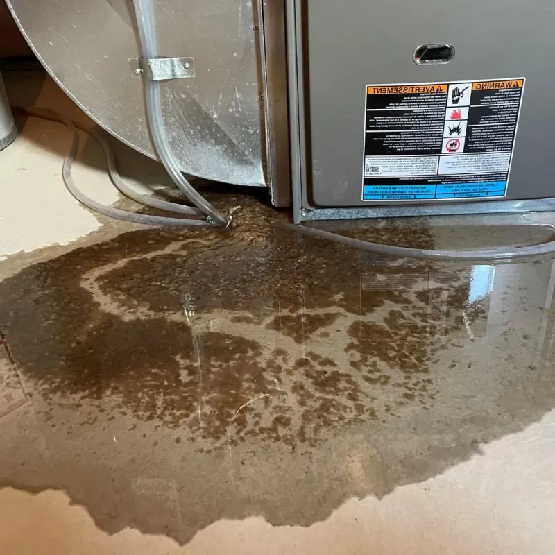 Pipe Burst and Leak Restoration in Gatlinburg, TN