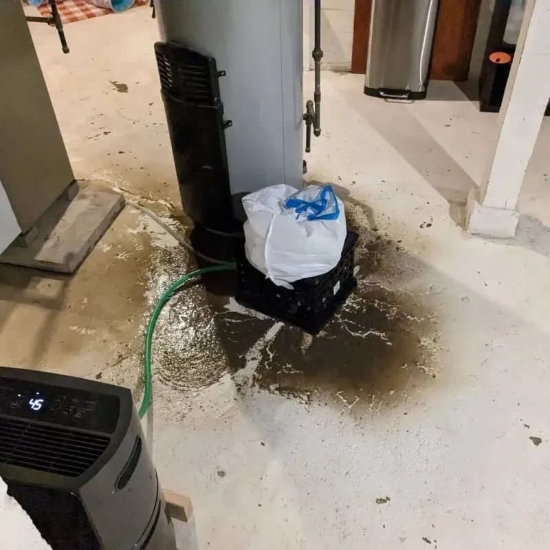 Sewage Backup Cleanup Service in Gatlinburg, TN